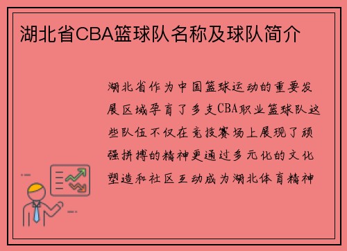 湖北省CBA篮球队名称及球队简介