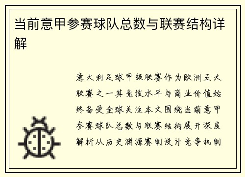 当前意甲参赛球队总数与联赛结构详解