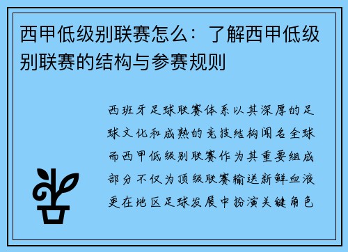 西甲低级别联赛怎么：了解西甲低级别联赛的结构与参赛规则