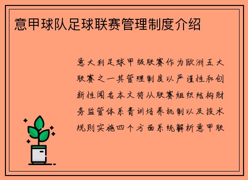 意甲球队足球联赛管理制度介绍